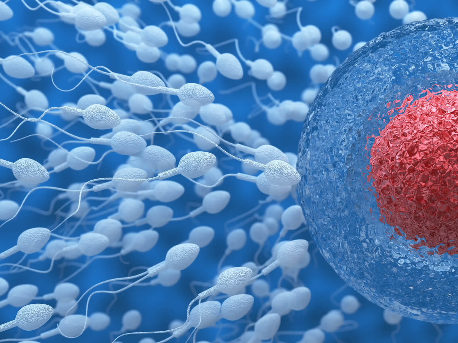  8 érdekesség a spermáról amit már MOST tudnod kell